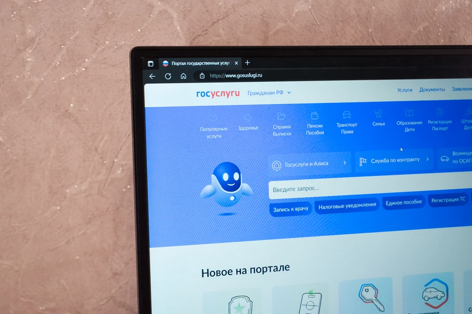 Семьи Приморья за два дня подали более 8 тысяч заявлений на новую выплату