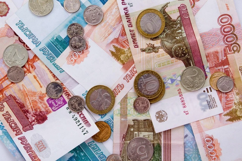 С начала года из бюджета направили больше 1 миллиона рублей.