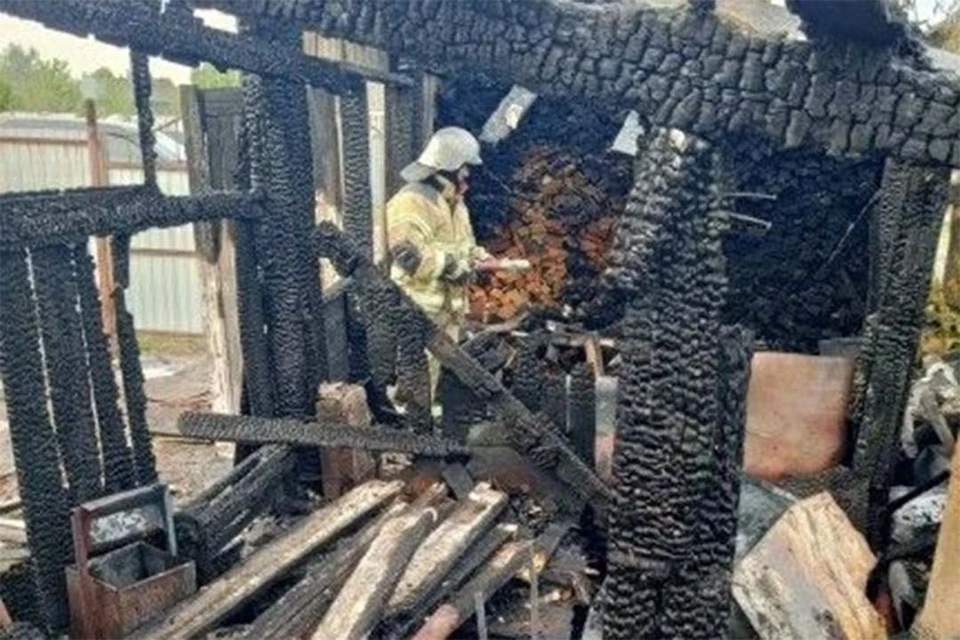 Пожар в Затоне