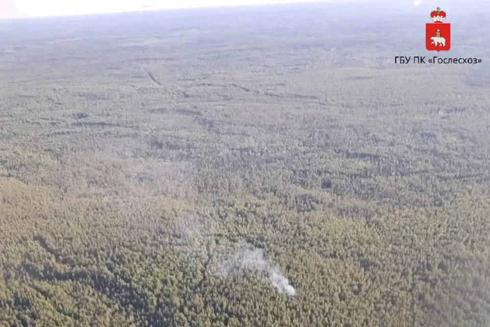 Фото: ГБУ ПК «Гослесхоз»