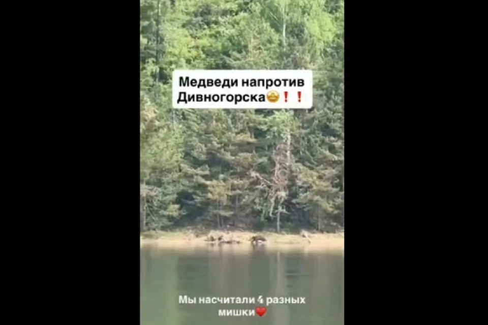 Фото: соцсети, пользователь studilinna