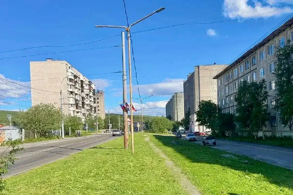 Правильный покос помогает укреплять корневую систему растений и защищает почву от эрозии. Фото: t.me/ilebedevmurmansk