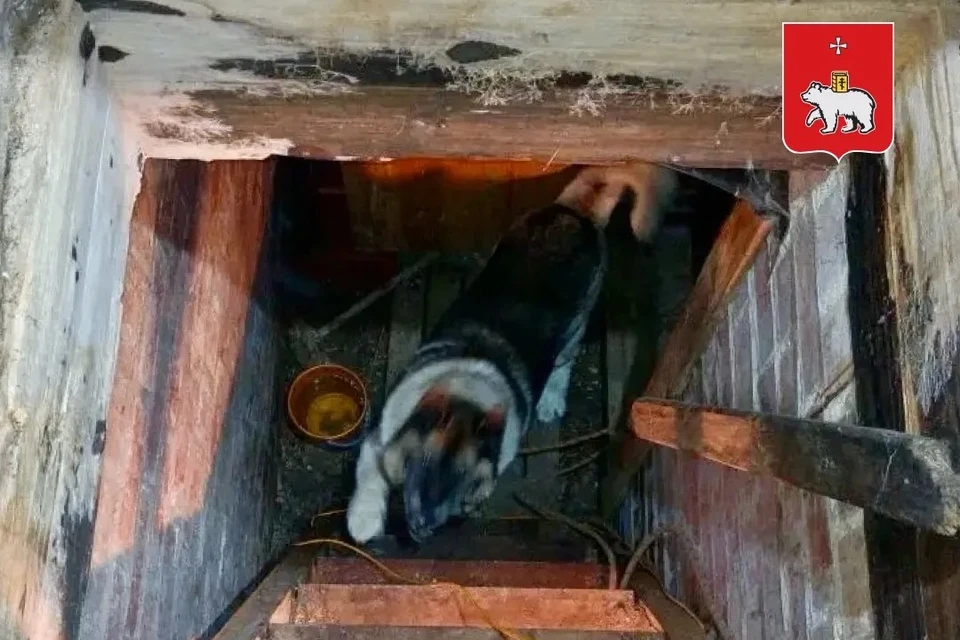 Фото: пресс-служба городской администрации