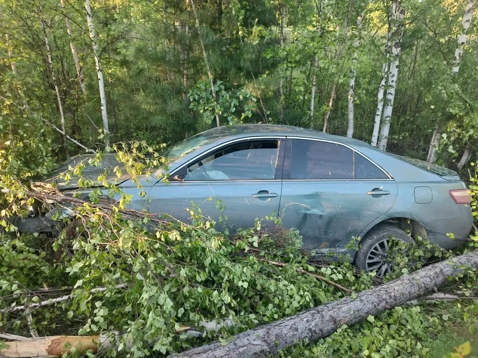 Фото: Госавтоинспекция ЯНАО