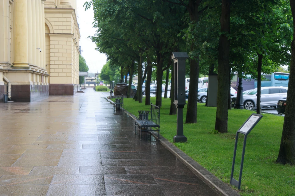 Фото: пресс-служба Администрации Санкт‑Петербурга.