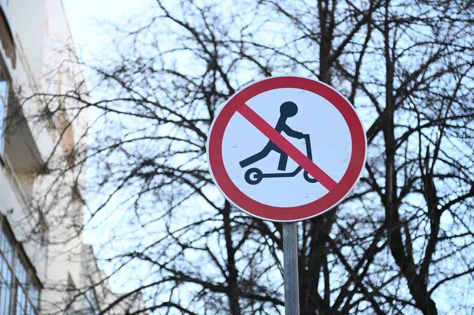 В Сыктывкаре и Ухте хотят ограничить скорость арендных самокатов до 15-20 км/ч.