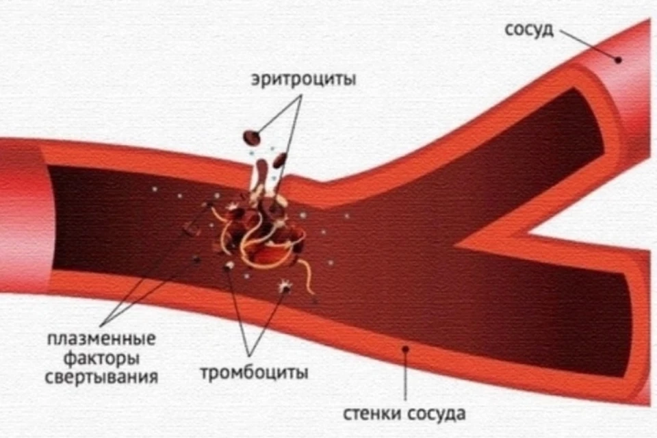 Фото: Брянская областная станция переливания крови.