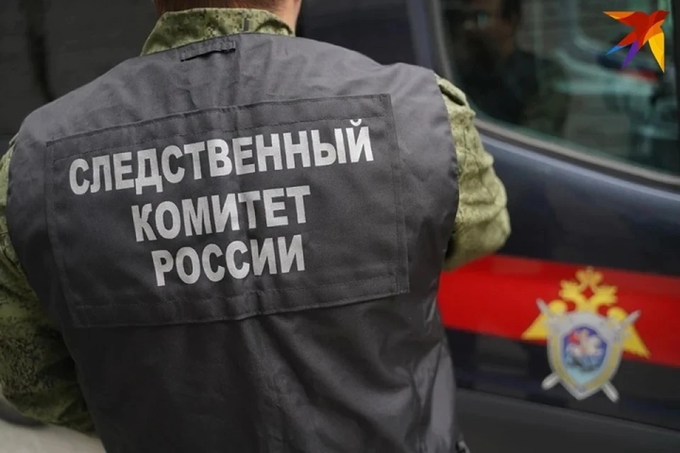 СК России установил причастных к теракту с автобусом с детьми из Беларуси в Брянской области. Фото носит иллюстративный характер.