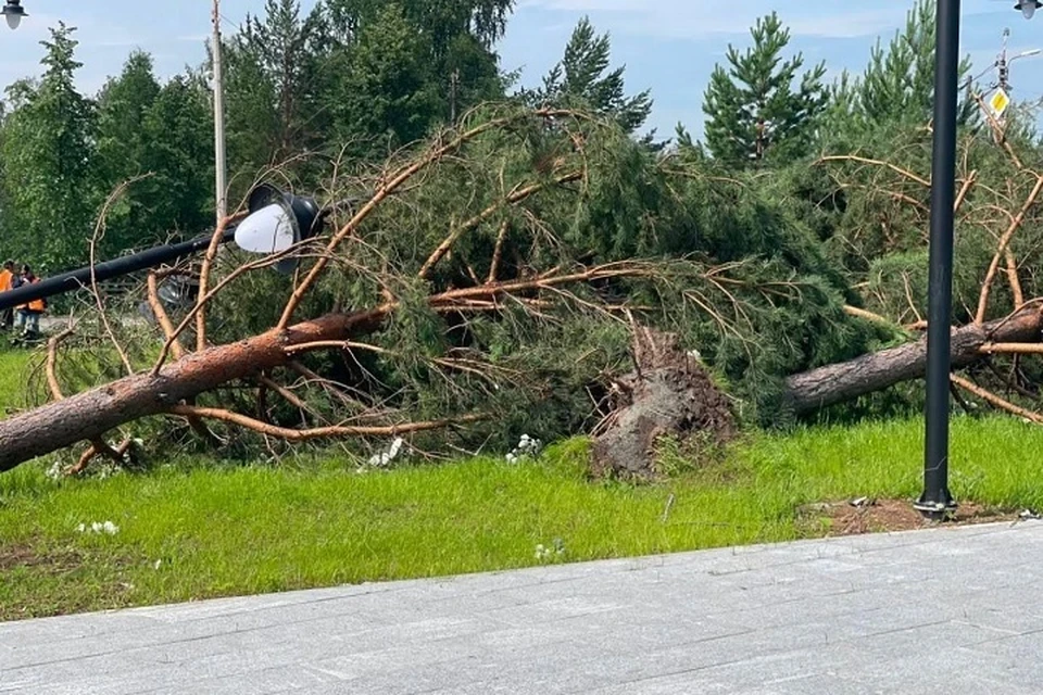 Смерч полностью разрушил 32 дома в Кушве. Фото: предоставлено КП