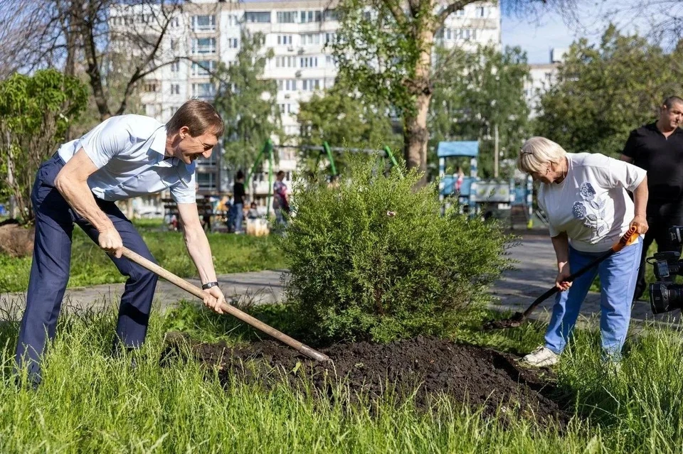 Во дворе многоэтажек на улице Силина активисты проекта встретились, чтобы подвести итоги и высадить деревья, дабы почтить память о героях.