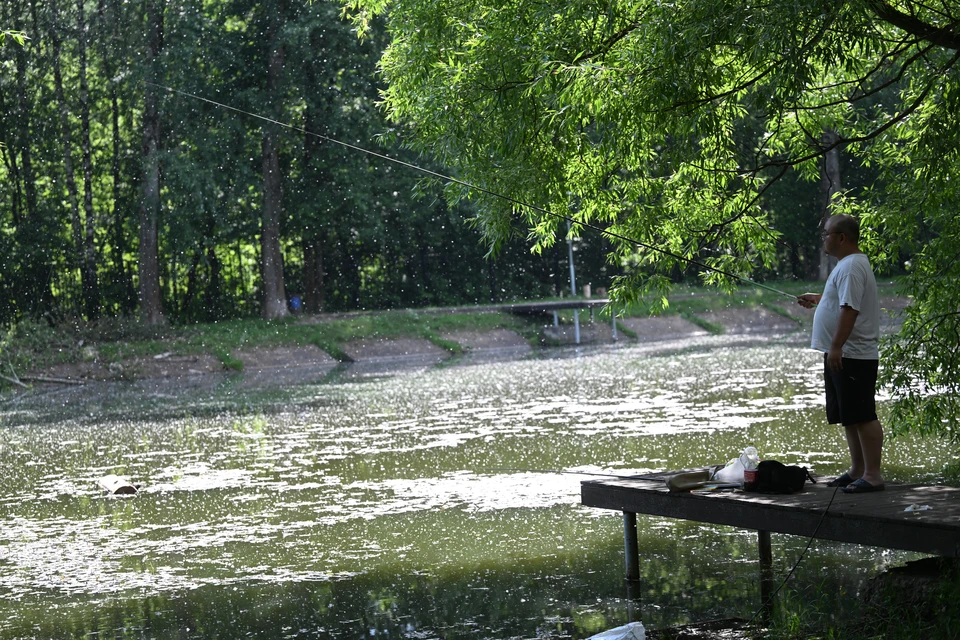 В теплой воде нужны сытные, крупные и ароматные составы