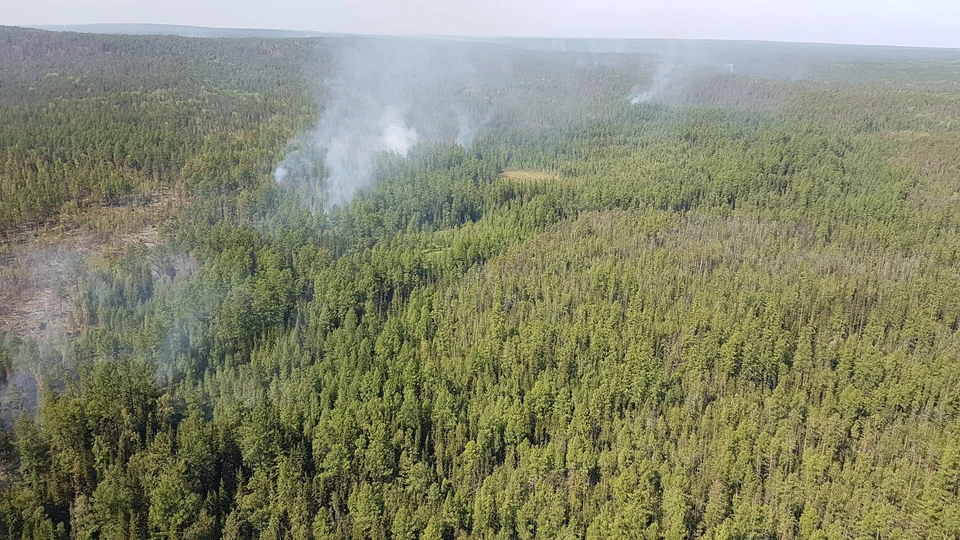 В Красноярском крае ввели режим повышенной готовности из-за лесных пожаров