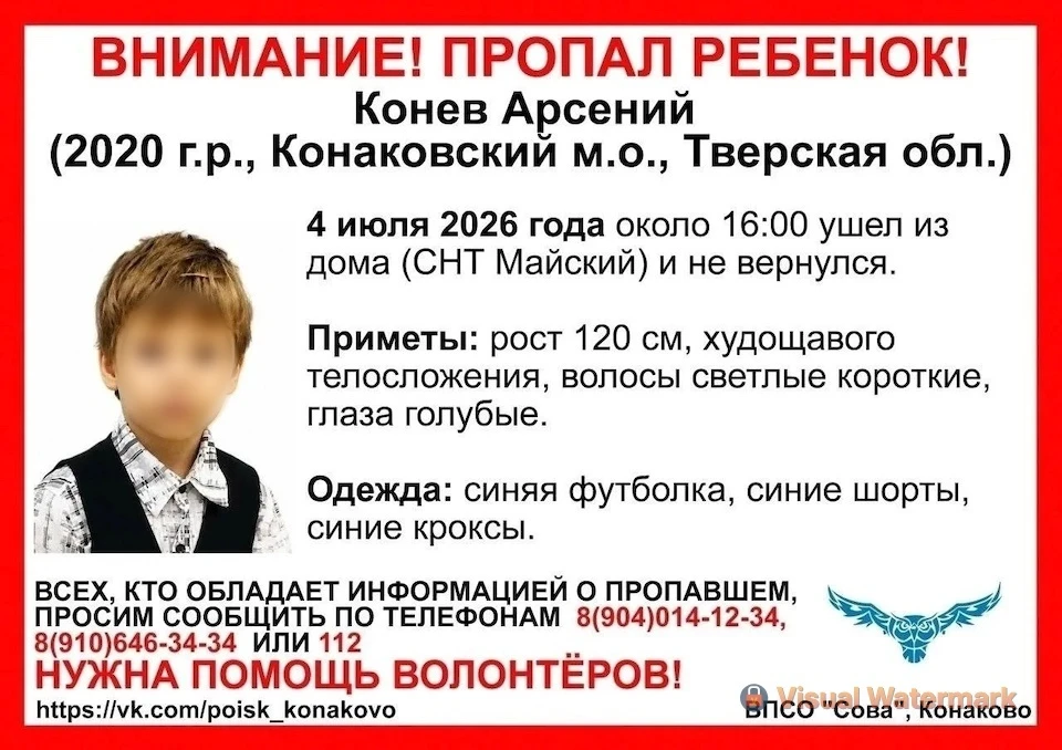 4 июля ребенок ушел из дома и не вернулся. Фото: ВПСО "СОВА".