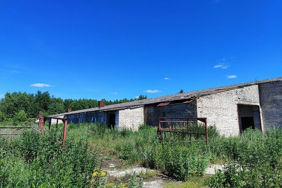 Коровник вернули хозяину. Фото: УФССП РФ по Ярославской области