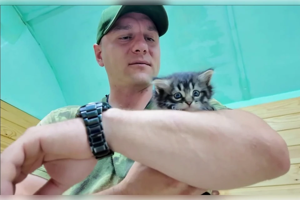 Котенок получил имя Паштет - по своему любимому лакомству. Фото: Народный фронт Запорожской области