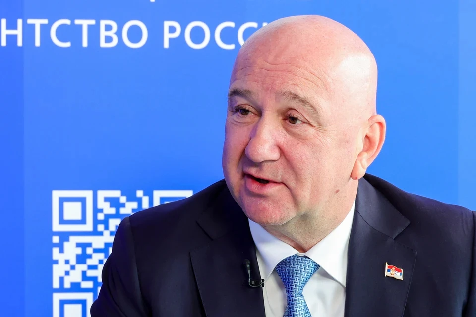 Ненад Попович рассказал о давлении Запада на Сербию. Фото: Даниил КИСЕЛЕВ/ТАСС.