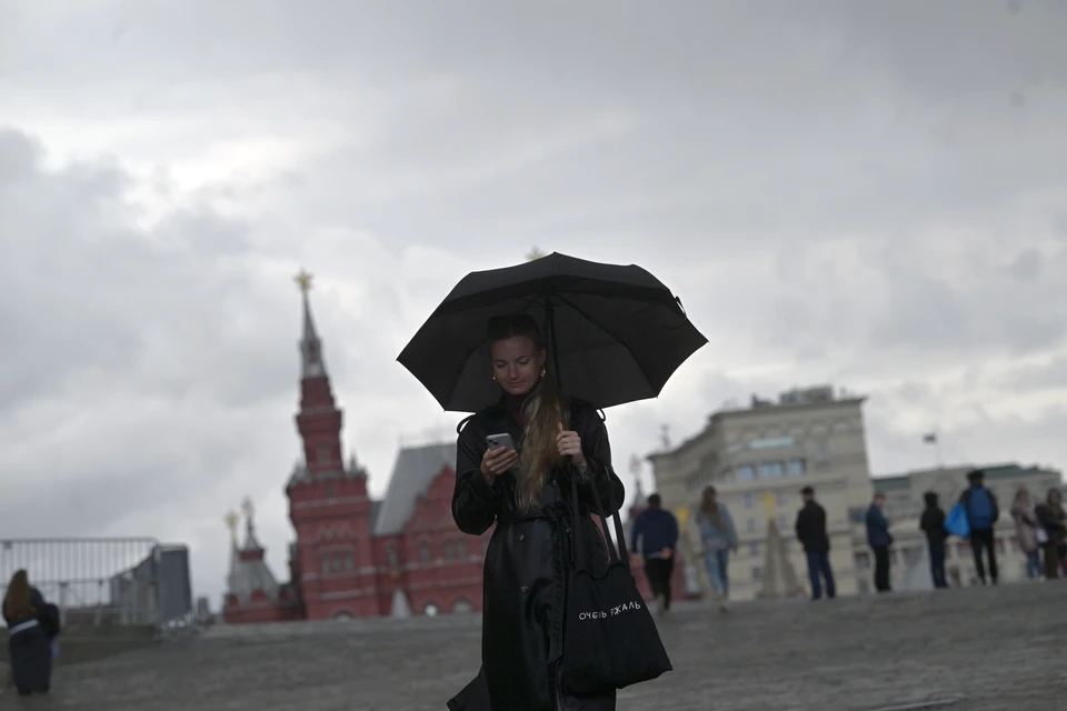 Желтый уровень погодной опасности объявлен в Москве из-за дождя, грозы и ветра