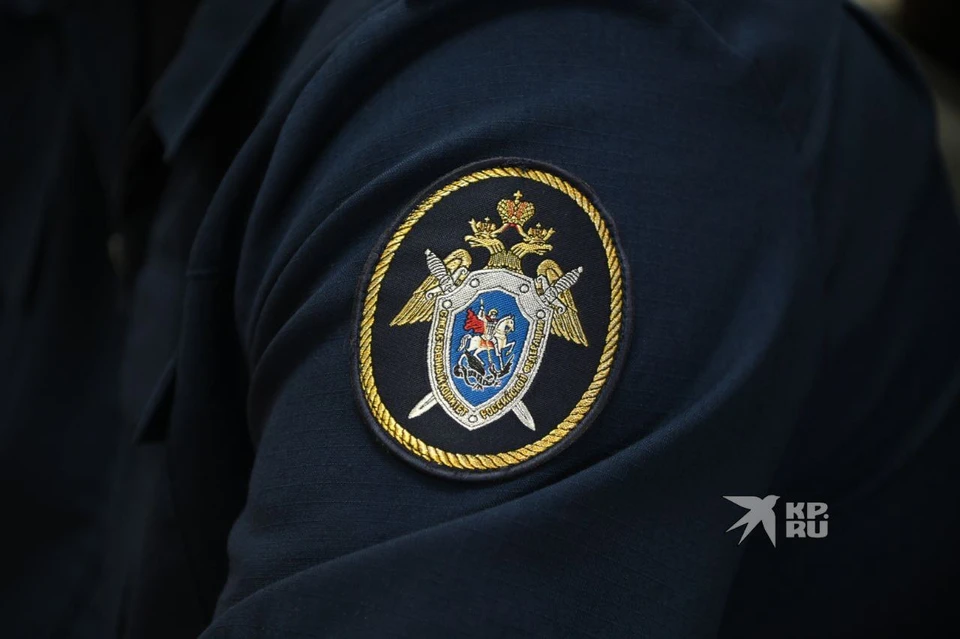 Секта прикрывалась фанатским сообществом, ее создатели шантажировали детей