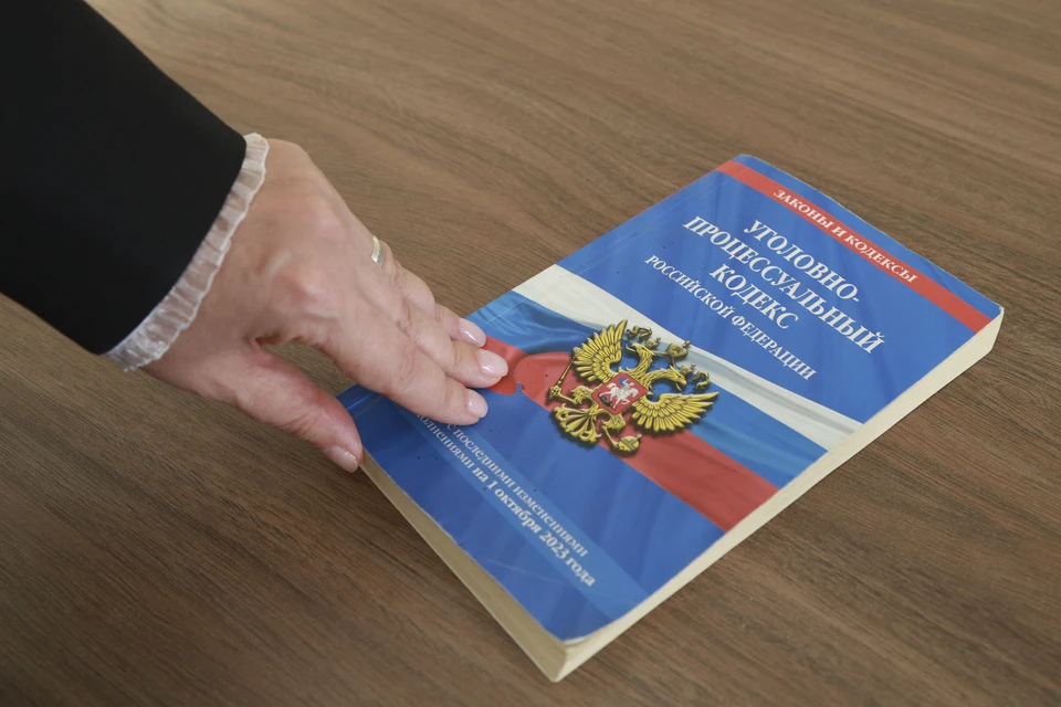 Приговор вступил в законную силу.