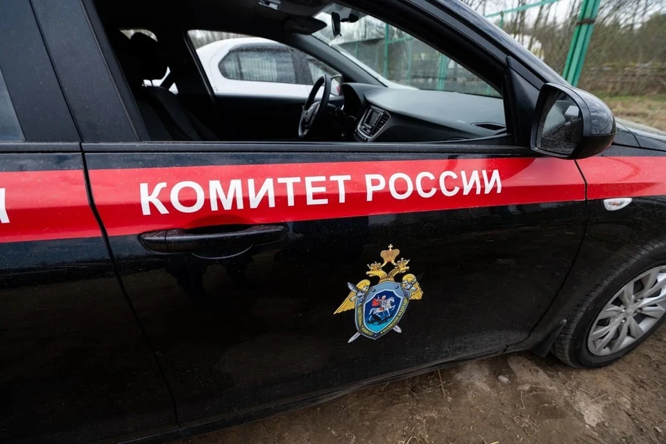 Глава СК запросил доклад о некачественной помощи в больнице в Новосибирске.