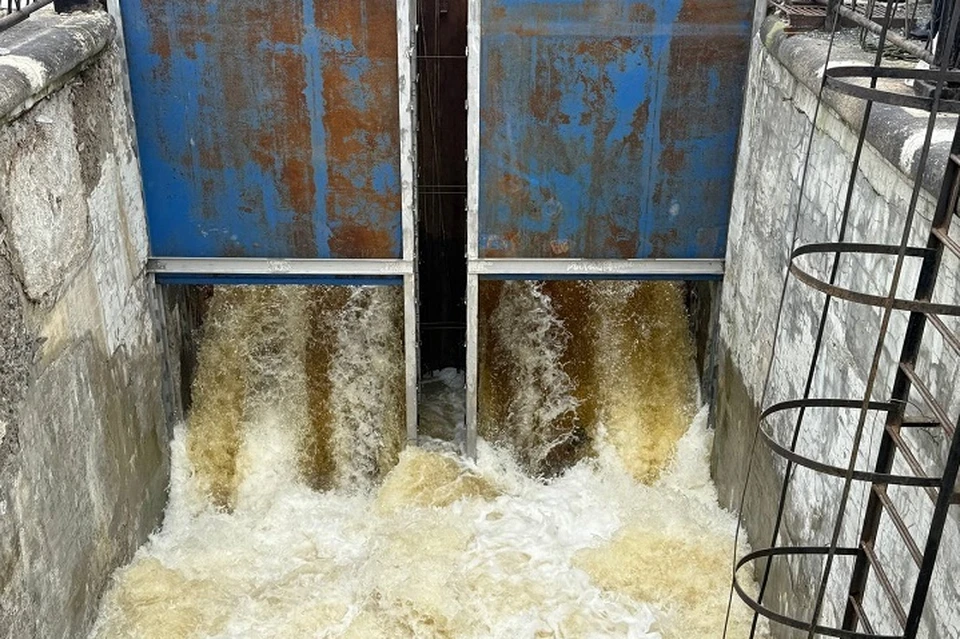 Уровень воды в пруду вырос за сутки на 3 сантиметра. Фото: канал Вячеслава Тюменцева