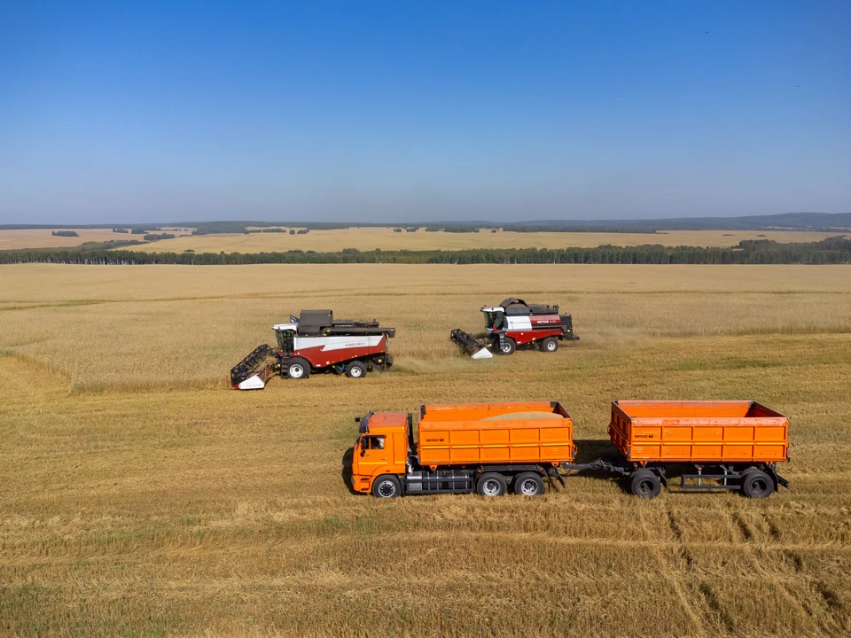 Аграрии смогут сеять урожай на следующий год