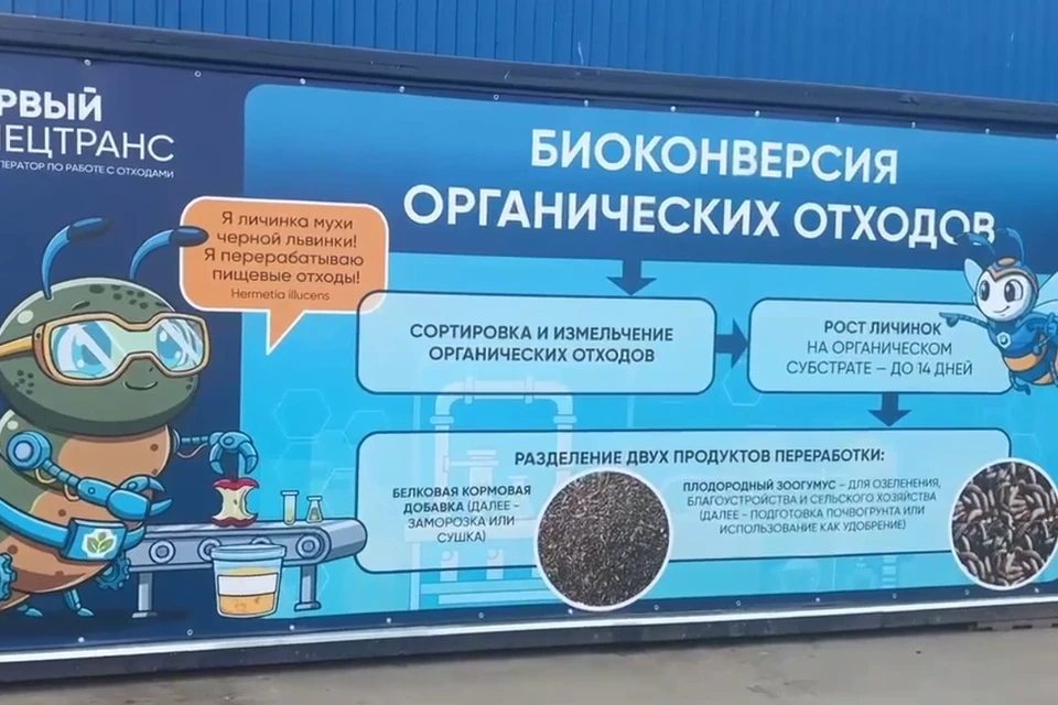 В Петербурге начала работу пилотная линия по биоконверсии пищевых отходов. Фото: https://t.me/k_soloveichik