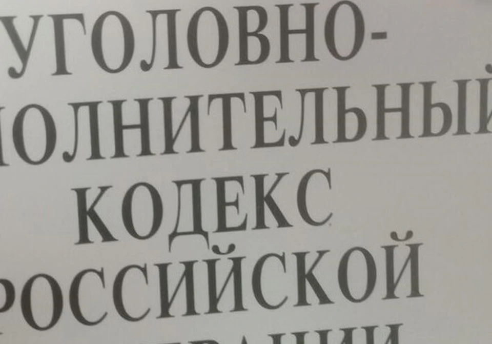 Возбуждено уголовное дело по ст. 106 УК РФ (убийство матерью новорожденного ребенка).