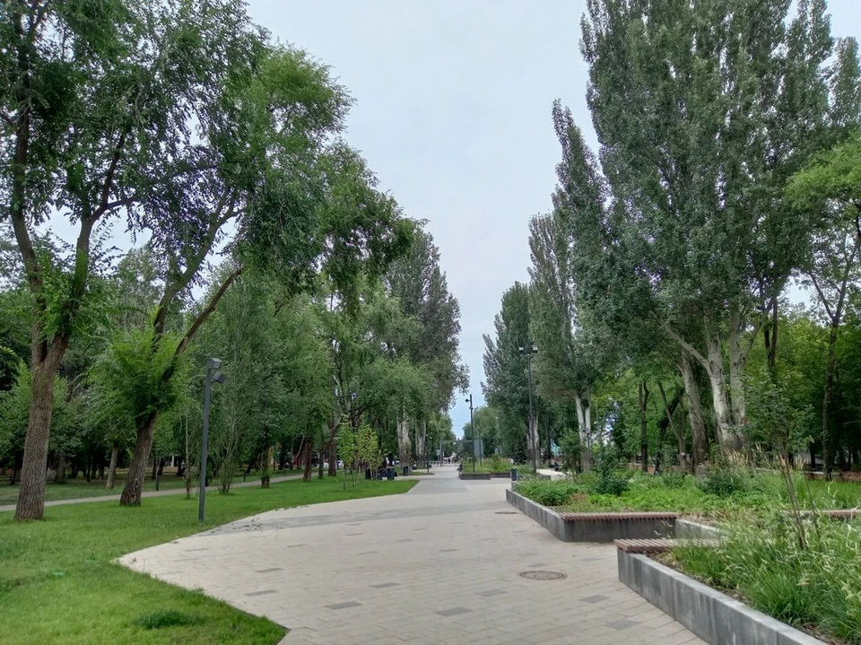 Самарцев призвали быть бдительными