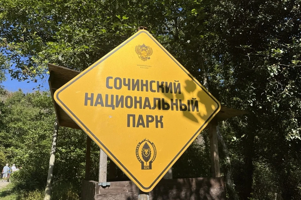 Сочинский нацпарк вошел в тройку самых посещаемых в России
