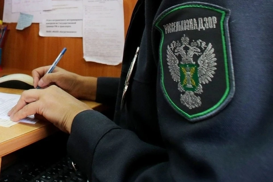 Конаковский предприниматель накопил более 14 тысяч неподтвержденных ветеринарных документов на продукты питания. Фото: Россельхознадзор Тверской области.