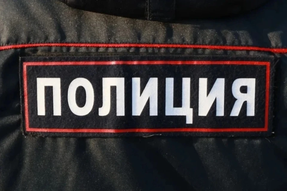 Полицейские задержали мужчину, когда он переходил ж/д пути