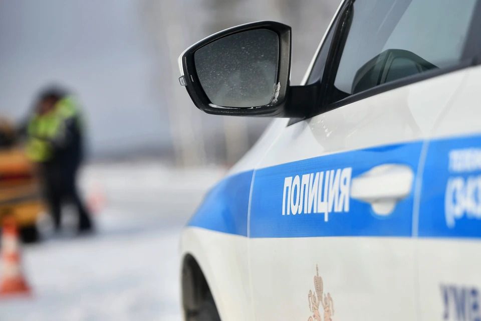 В Подмосковье фура насмерть сбила двух пенсионерок на пешеходном переходе