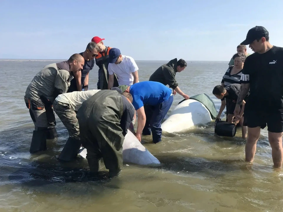 Фото: Администрация Тугуро-Чумиканского района