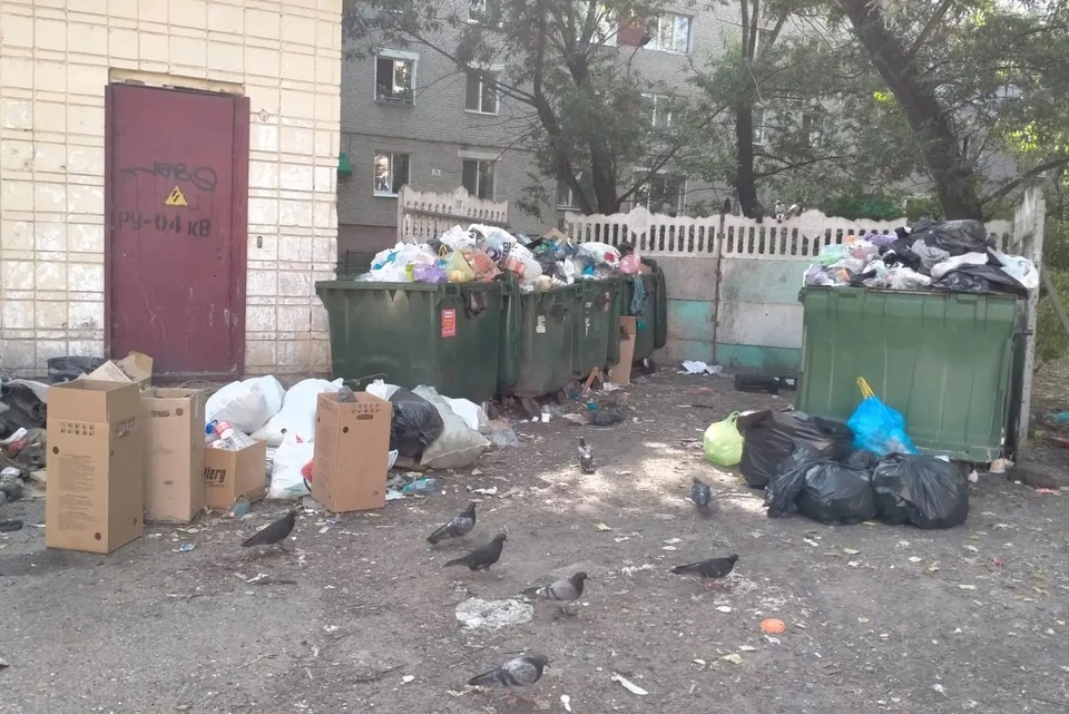 В Томской области обсуждается инициатива активизировать практику привлечения к ответственности за незаконный сброс мусора с автомобилей