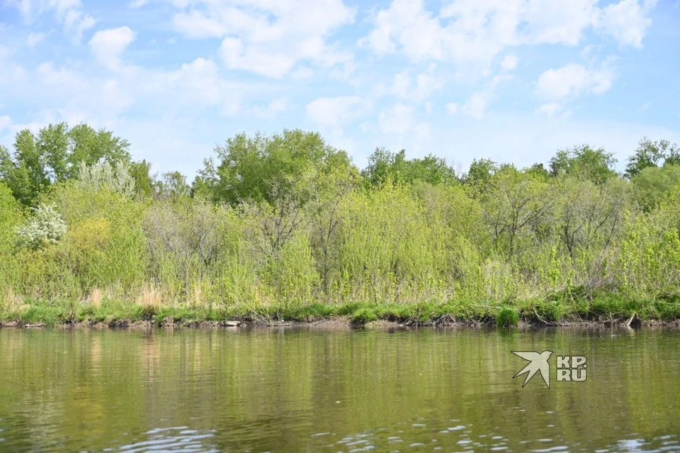 Уровень воды поднялся в местных реках и водохранилищах