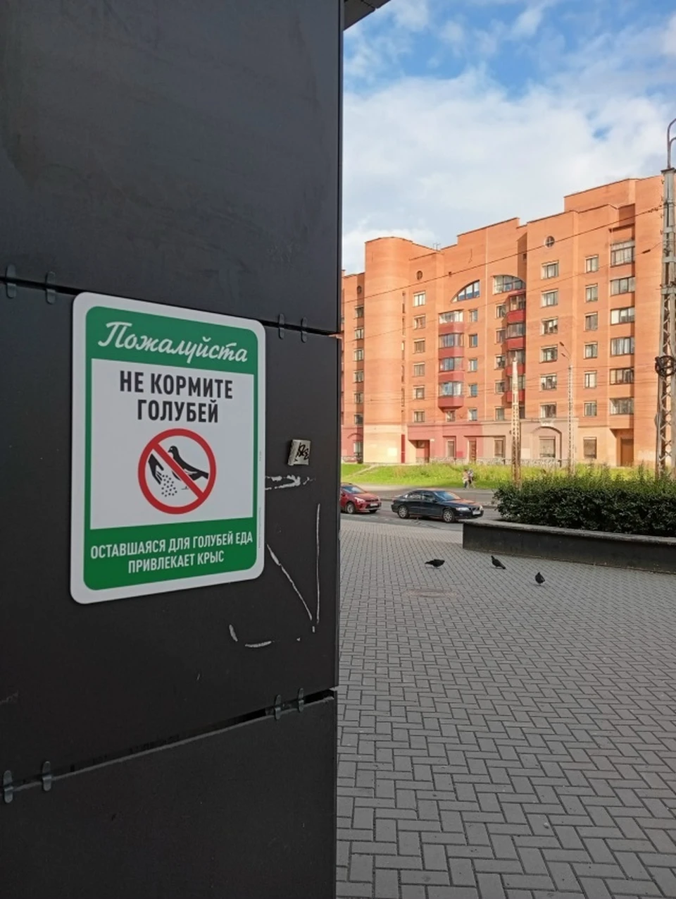Фото: фотоархив портала "КП в Костроме"