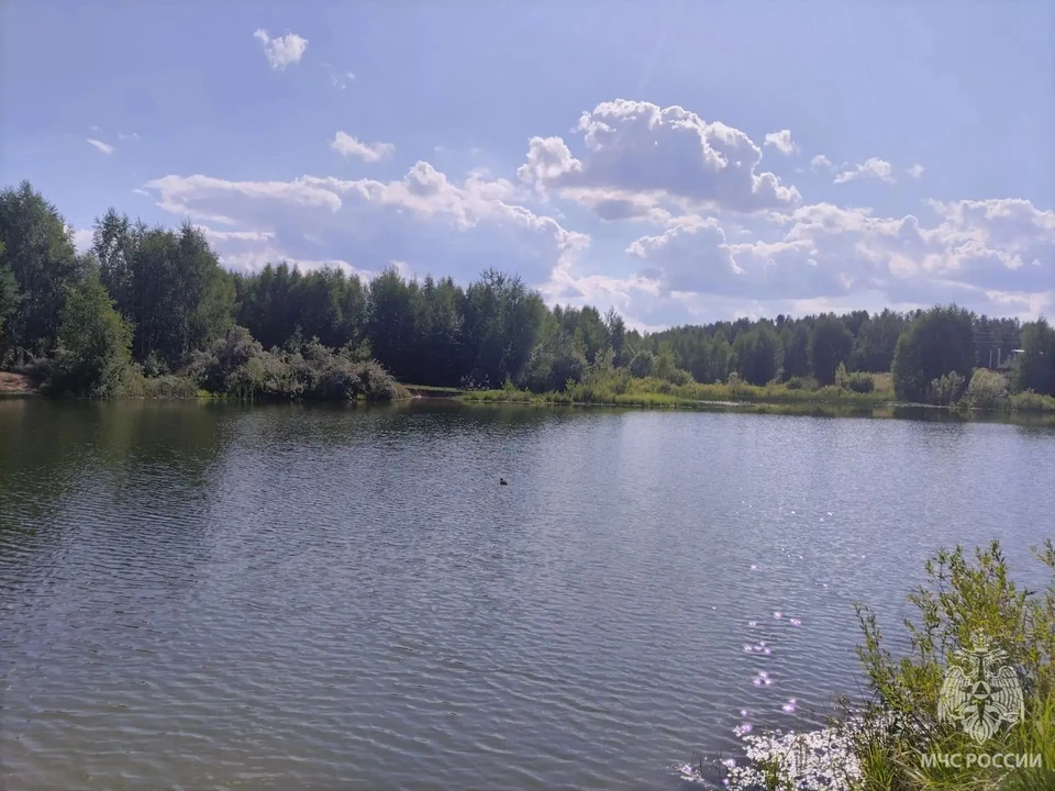 15-летний подросток утонул в безымянном пруду в Кулебаках.