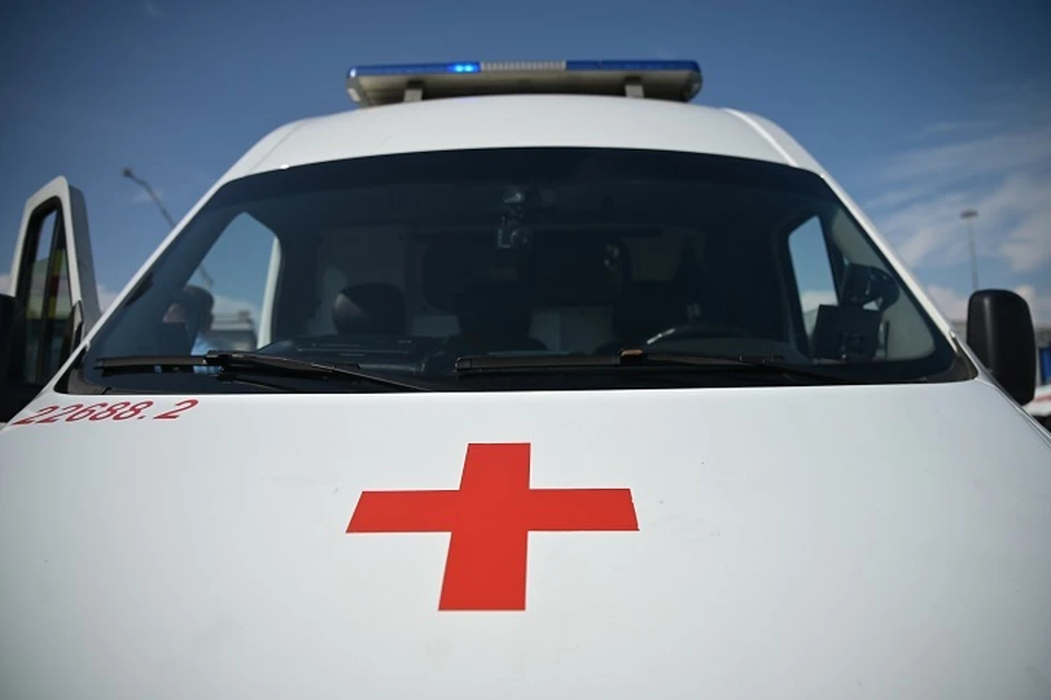Змея укусила 74-летнюю отдыхающую в Приморье