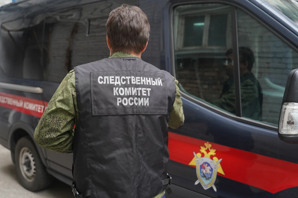 В Раменском возбуждено дело после гибели матери и ребенка при падении из окна