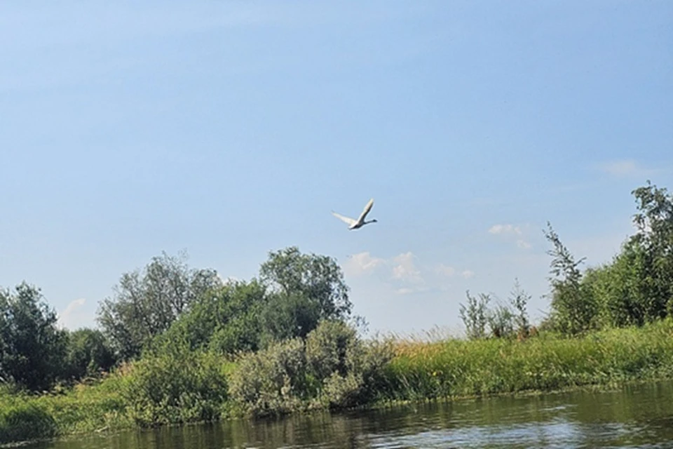 Фото: Природнадзор Югры