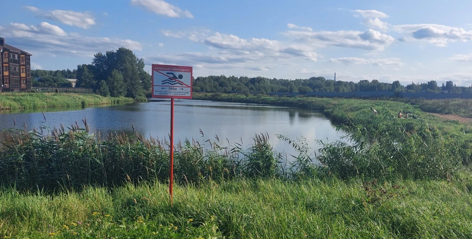 Источник: grad.kostroma.gov.ru