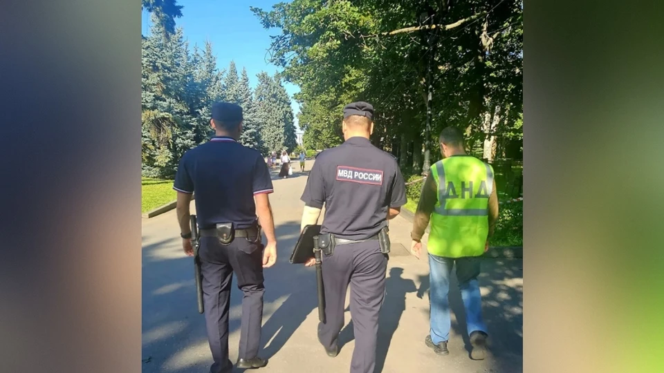 Представители ДНД оказывают содействие участковым, инспекторам ПДН и сотрудникам ГАИ.