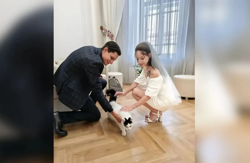 В Минусинске кошка стала гостьей на свадьбе у своих хозяев. Фото: Агентство ЗАГС по Красноярскому краю