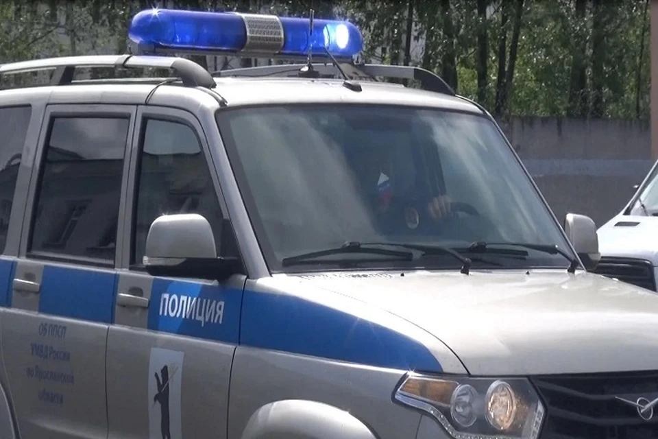 На виновника завели дело. Фото: УМВД РФ по Ярославской области