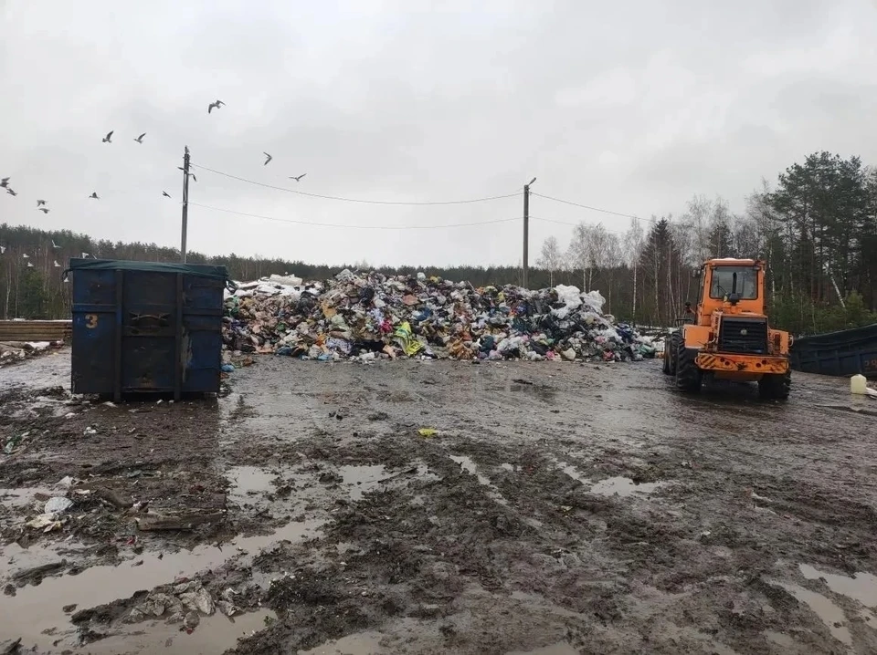 Фото: Прокуратура Владимирской области