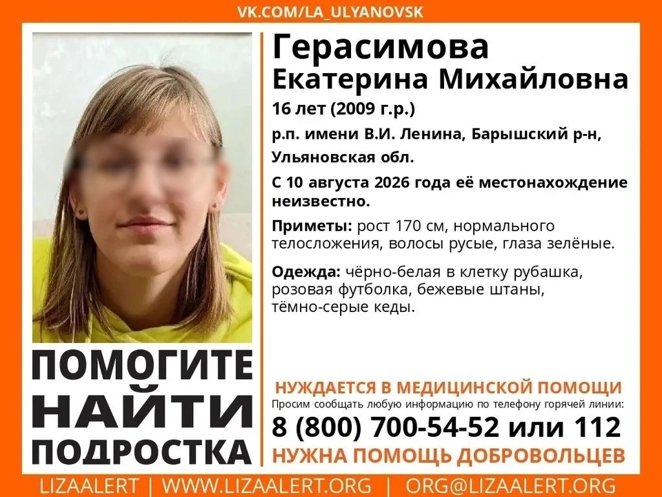 В Барышском районе Ульяновской области разыскивают пропавшую школьницу | ФОТО: группа в ВК Поисковый отряд "ЛизаАлерт" Ульяновской области