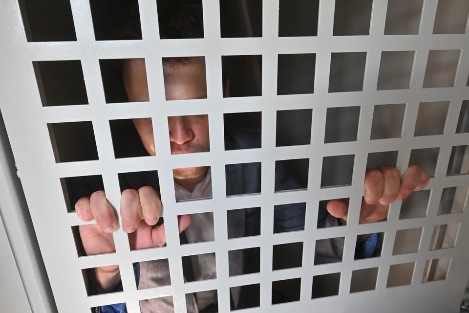 Пьяный хозяин-живодер убил собаку, выбросив ее из окна 11 этажа в Петербурге.