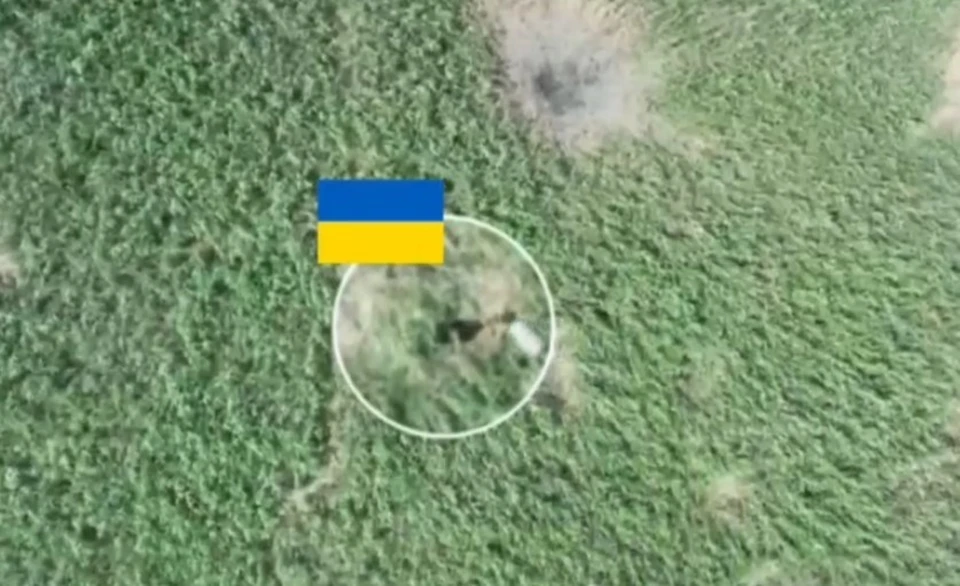 Десантники остановили в камышовом поле группу украинской пехоты