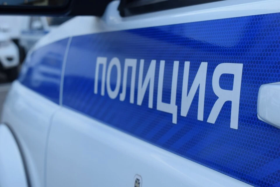 Мужчина вымогал у возлюбленной переведенные на хозяйство деньги. Фото: МВД Тверской области.